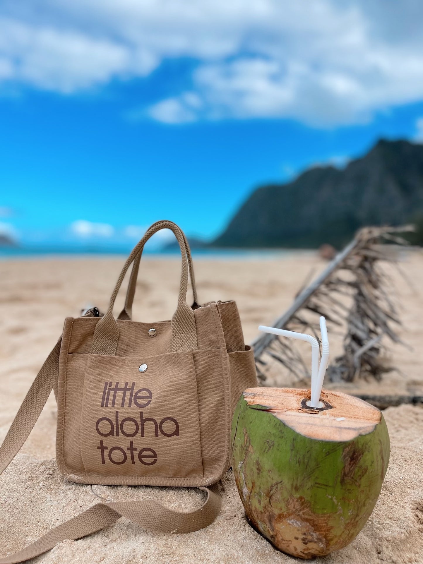 Little Aloha Tote (kraft)